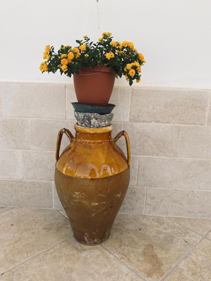 Trulli Della Masseria Staffone ألبيروبيللو المظهر الخارجي الصورة