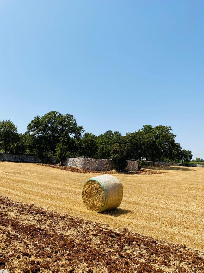 Trulli Della Masseria Staffone ألبيروبيللو المظهر الخارجي الصورة