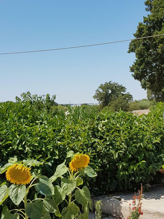 Trulli Della Masseria Staffone ألبيروبيللو المظهر الخارجي الصورة